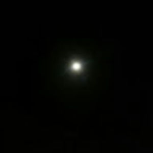 Meet your Posher, Ron